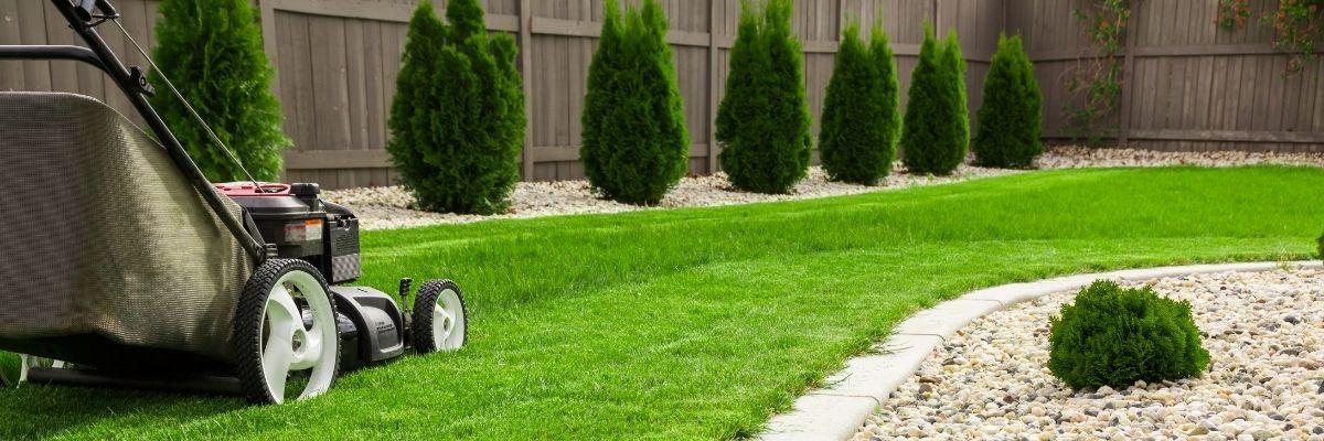 PMS SA Accueil Pourquoi