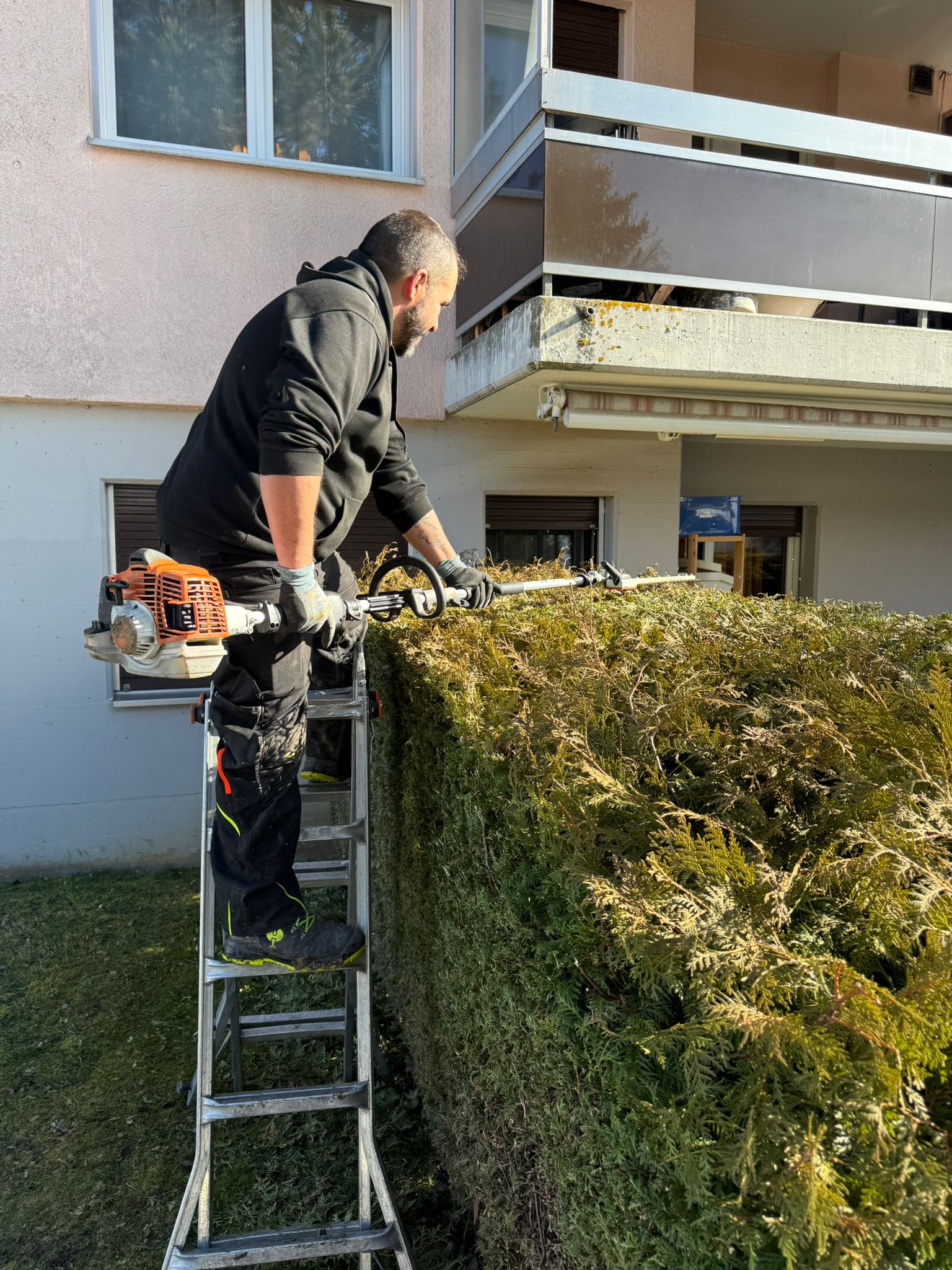 PMSSA Espacesverts frise 2