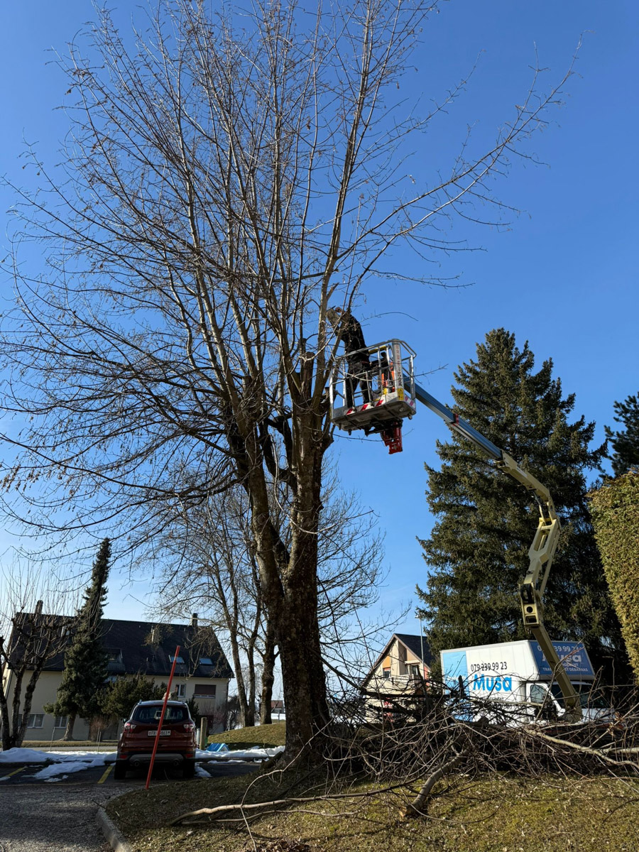 PMSSA Galerie EspacesVerts 3